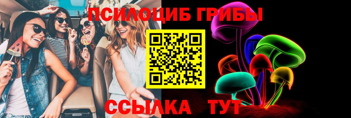 Галлюциногенные грибы мицелий  Галлюциногенные грибы прущие грибы  Бийск  Вход с VPN 